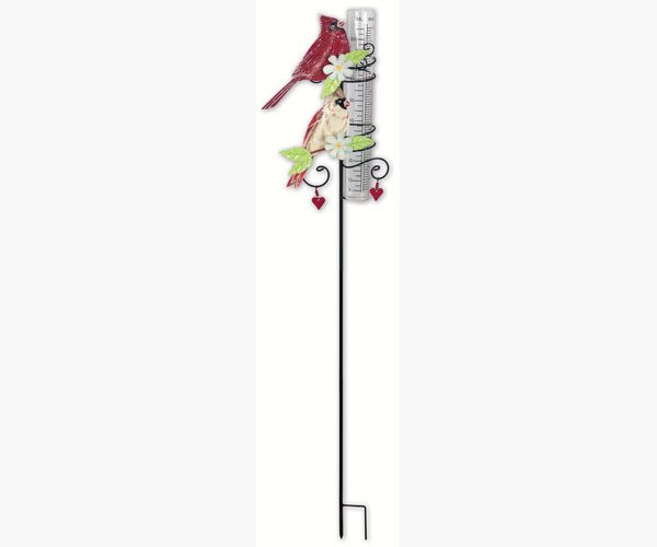 Cardinal Rain Gauge